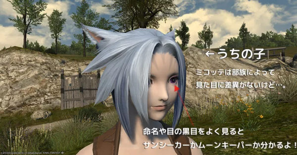 Ff14豆知識 ミコッテの命名規則